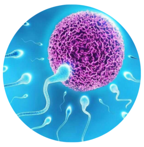 Infertility
